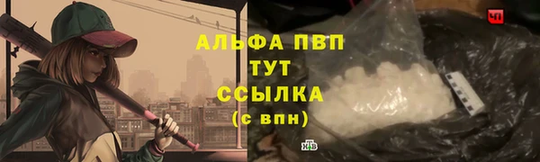 кокс Белокуриха