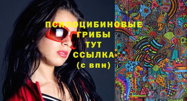 кокс Белокуриха
