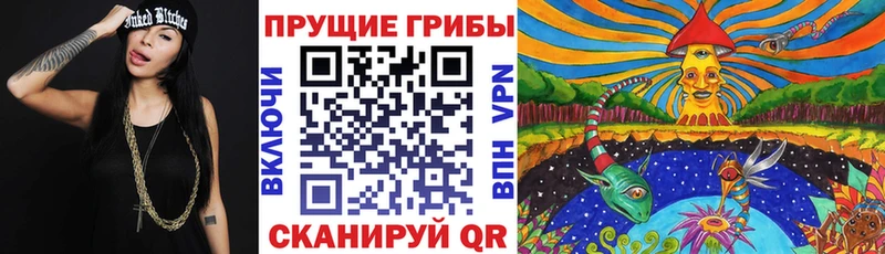Галлюциногенные грибы ЛСД  купить наркоту  Зима 