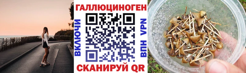 Псилоцибиновые грибы Psilocybe Зима