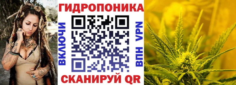 Шишки марихуана Ganja дарнет шоп Зима